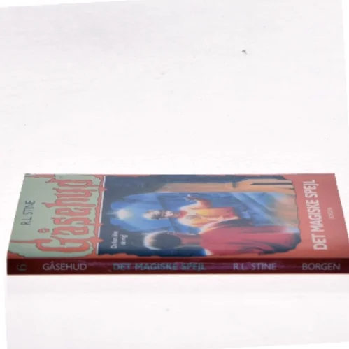 Det magiske spejl af R. L. Stine (Bog)