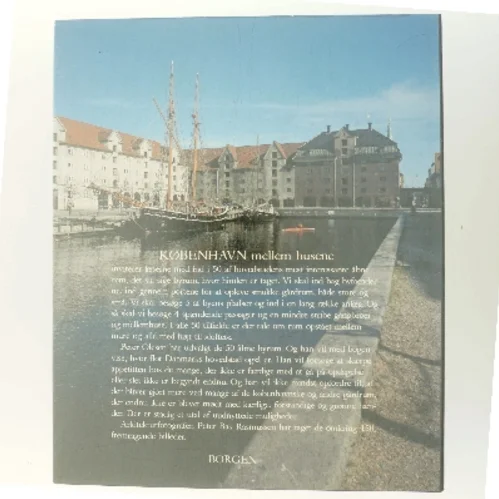 København mellem husene af Peter Olesen (Bog)