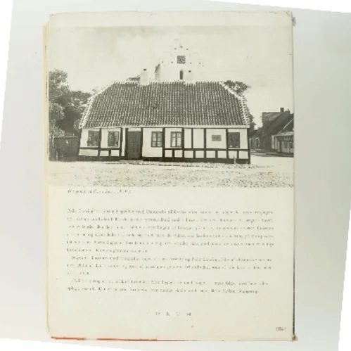 Danmarks Historie af Palle Lauring (Bog)