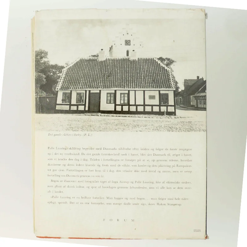 Danmarks Historie af Palle Lauring (Bog)