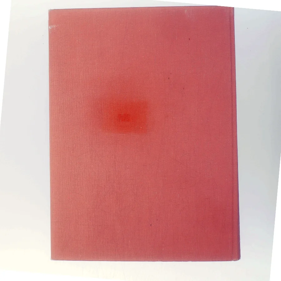 Moderne Dansk Maleri af Jan Zibrandtsen (Bog)