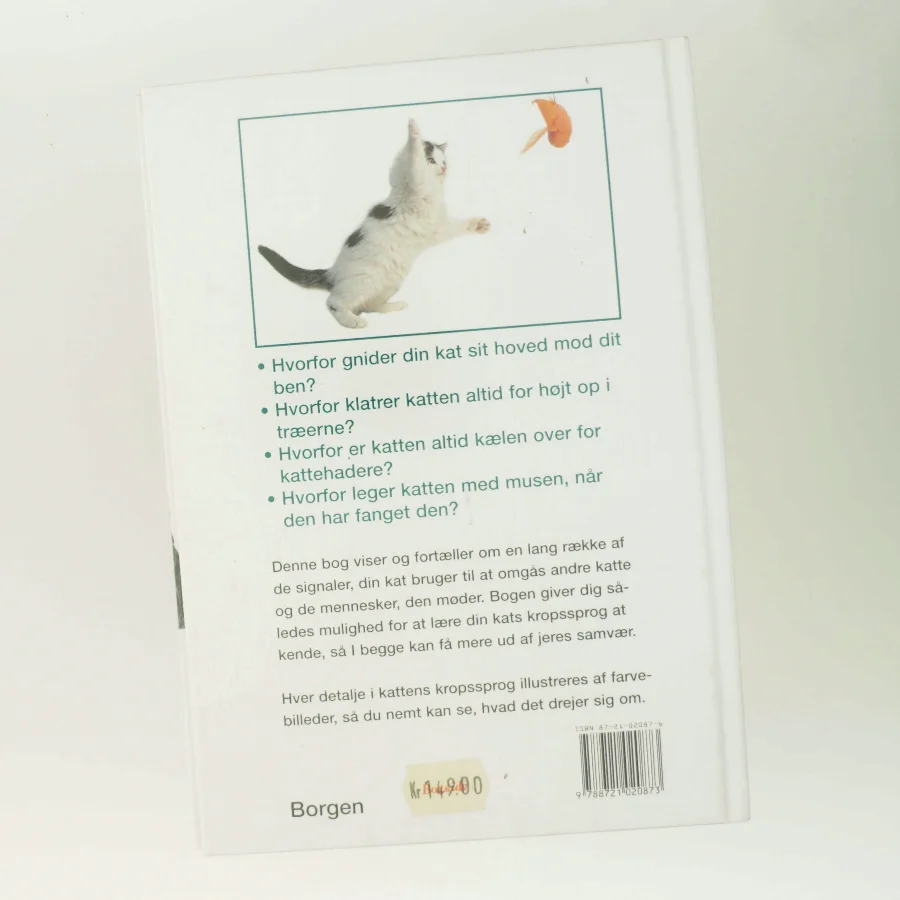 Hvad tænker min kat? : sådan forstår du din kat af Gwen Bailey (Bog)