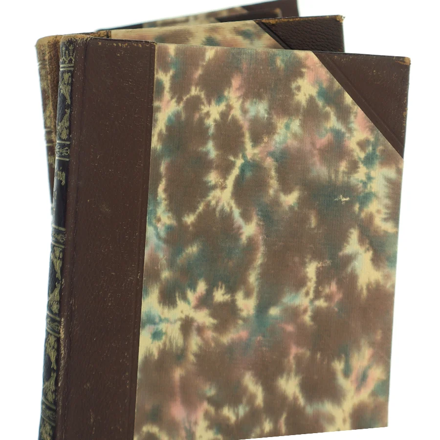 Udvalgte Værker af N. F. S. Grundtvig (Bog)