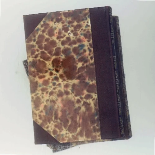 Udvalgte Værker af N. F. S. Grundtvig (Bog)