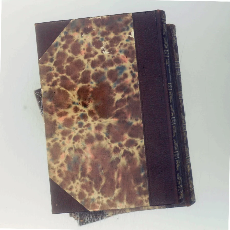 Udvalgte Værker af N. F. S. Grundtvig (Bog)