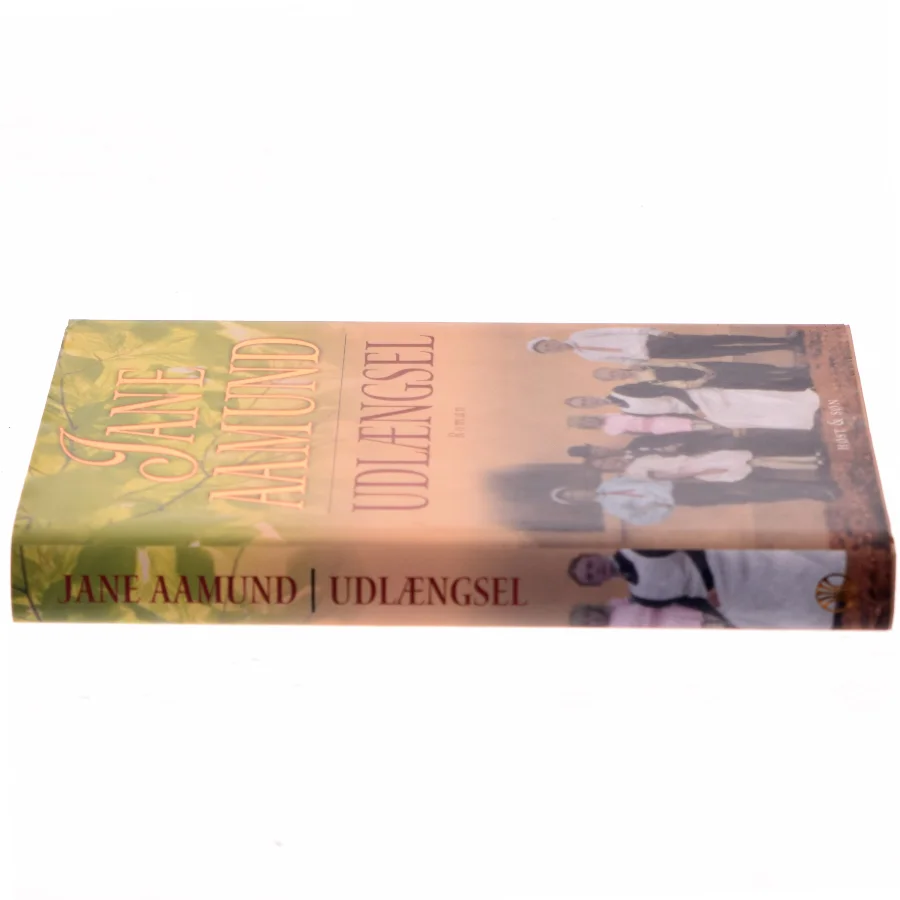 Udlængsel af Jane Aamund (Bog)