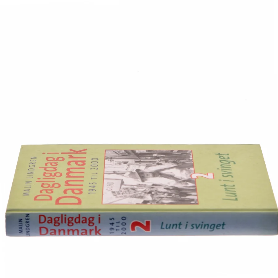 Dagligdag i Danmark af Malin Lindgren (Bog)