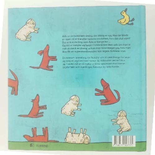 En syg historie om en rask dreng (Bog)