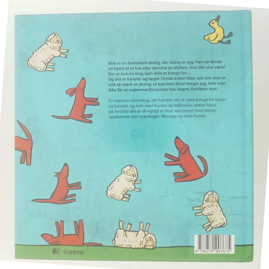 En syg historie om en rask dreng (Bog)