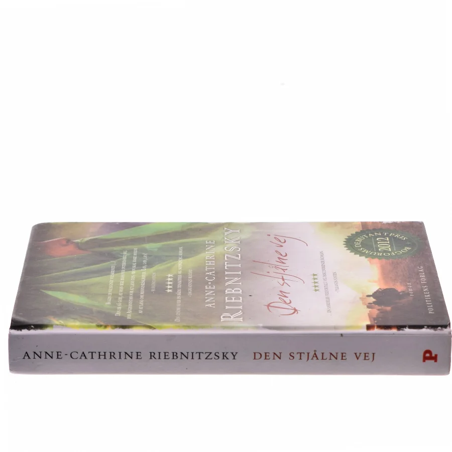 Den stjålne vej af Anne-Cathrine Riebnitzsky (Bog)