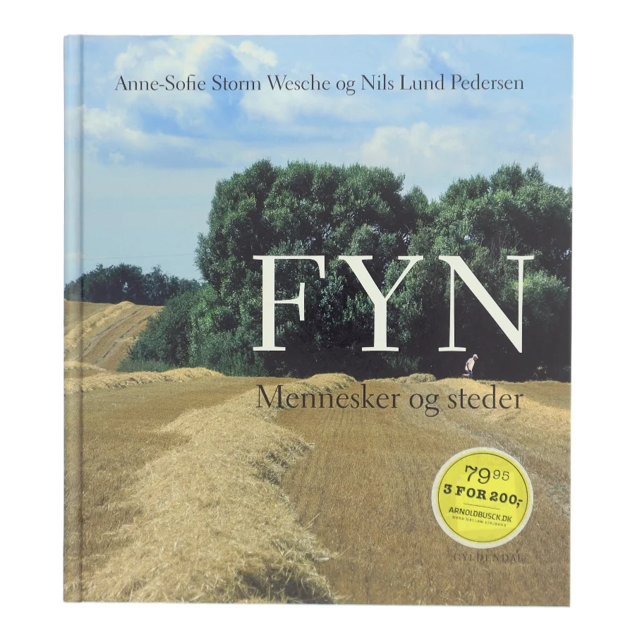Fyn : mennesker og steder af Anne-Sofie Storm Wesche (f. 1973) (Bog)
