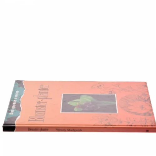 Blomster-planter af Wendy Madgwick (Bog)