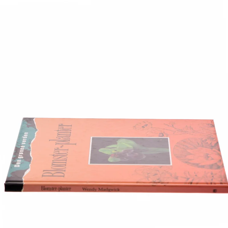 Blomster-planter af Wendy Madgwick (Bog)