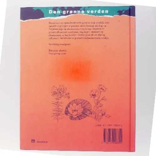 Blomster-planter af Wendy Madgwick (Bog)