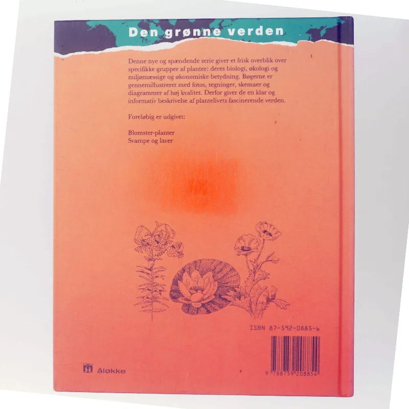 Blomster-planter af Wendy Madgwick (Bog)