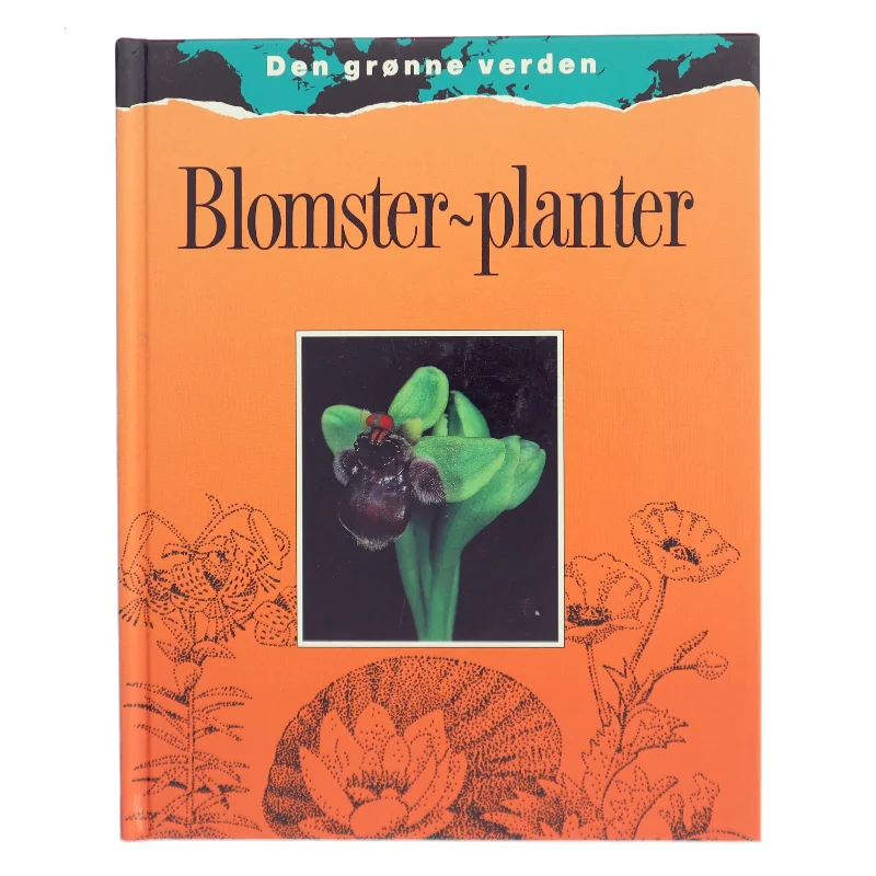 Blomster-planter af Wendy Madgwick (Bog)