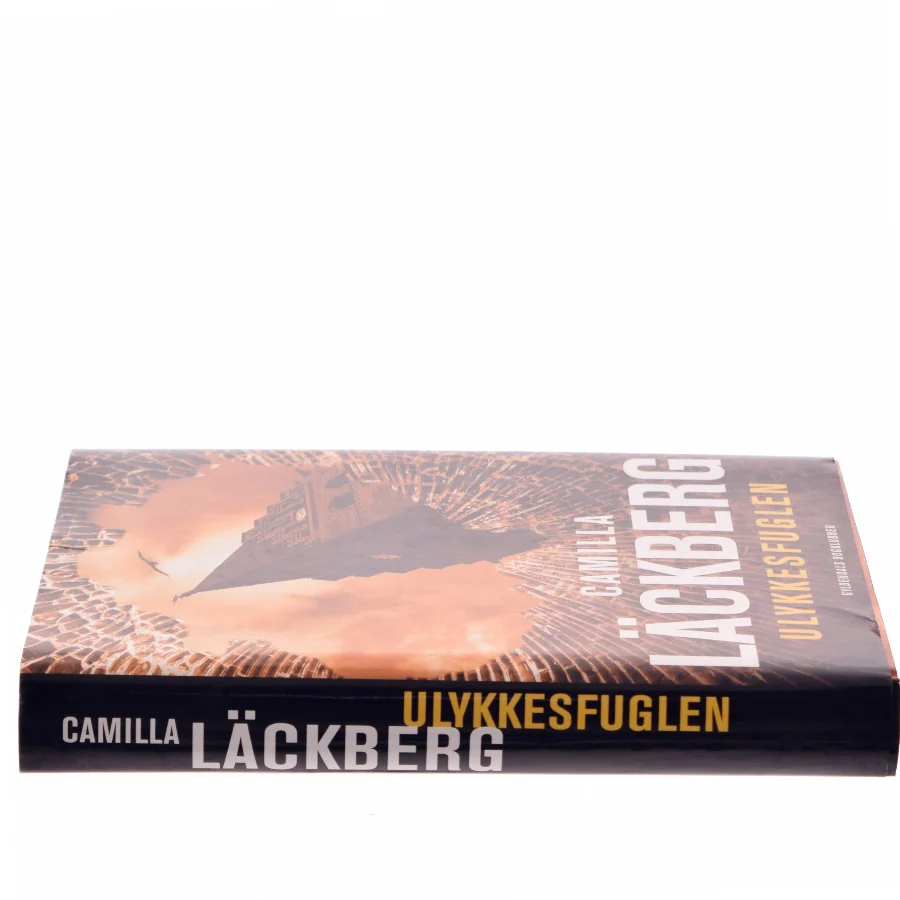 Ulykkesfuglen : kriminalroman af Camilla Läckberg (Bog)