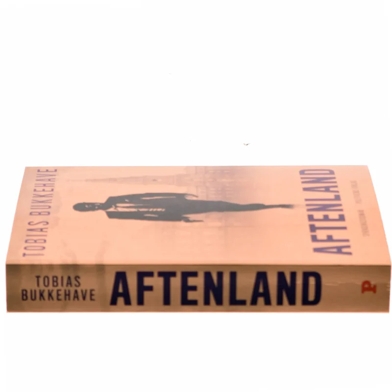 Aftenland : spændingsroman af Tobias Bukkehave (f. 1980) (Bog)