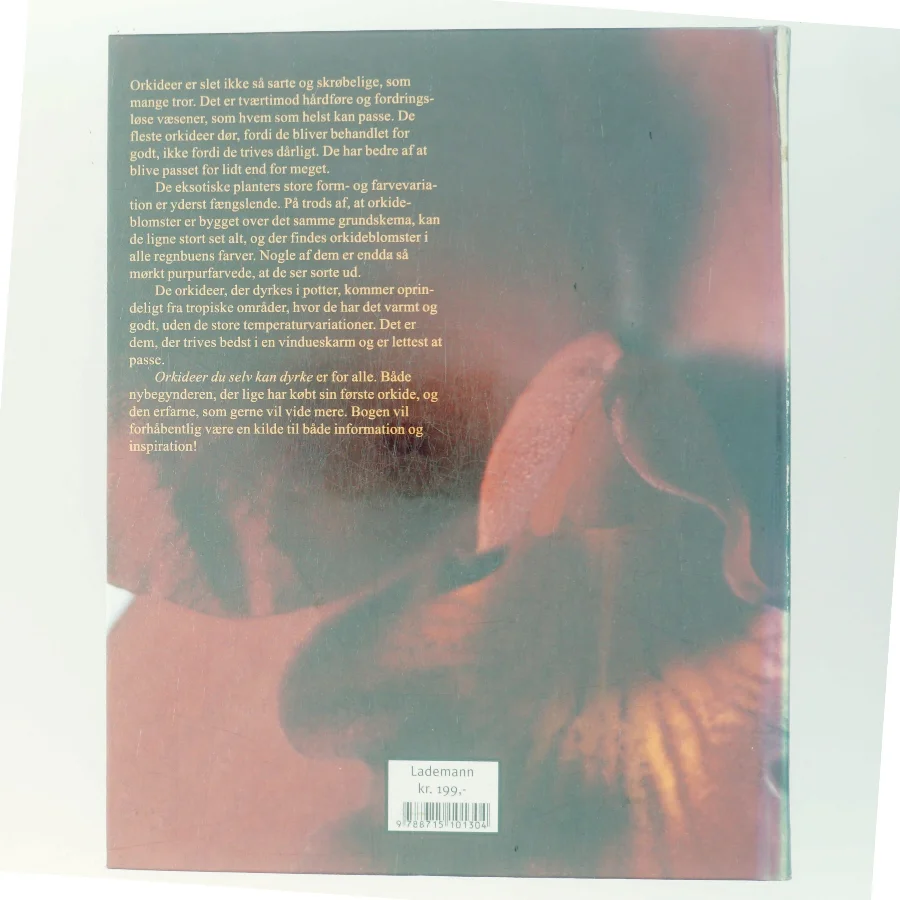 Orkideer du selv kan dyrke (Bog)