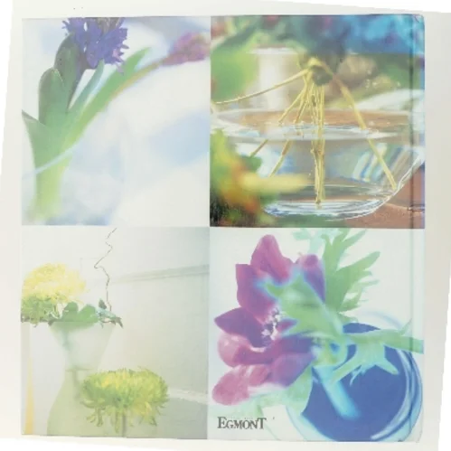 Indret med blomster af Mark Upton (Bog)