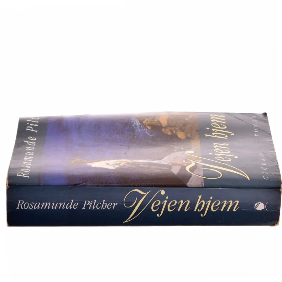 Vejen hjem af Rosamunde Pilcher (Bog)