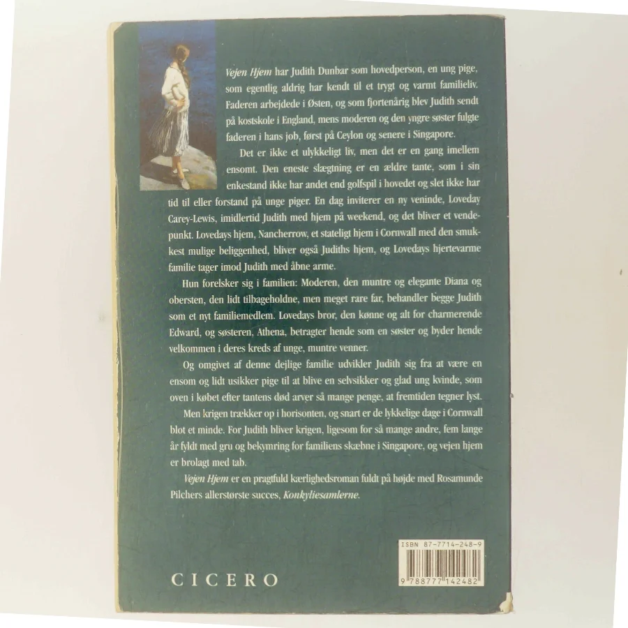 Vejen hjem af Rosamunde Pilcher (Bog)