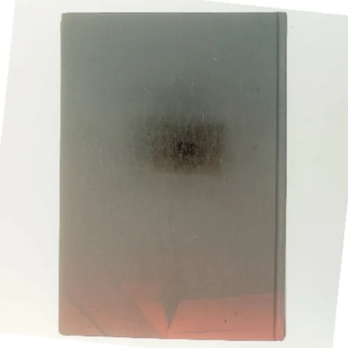 Prædikanten af Camilla Läckberg (Bog)