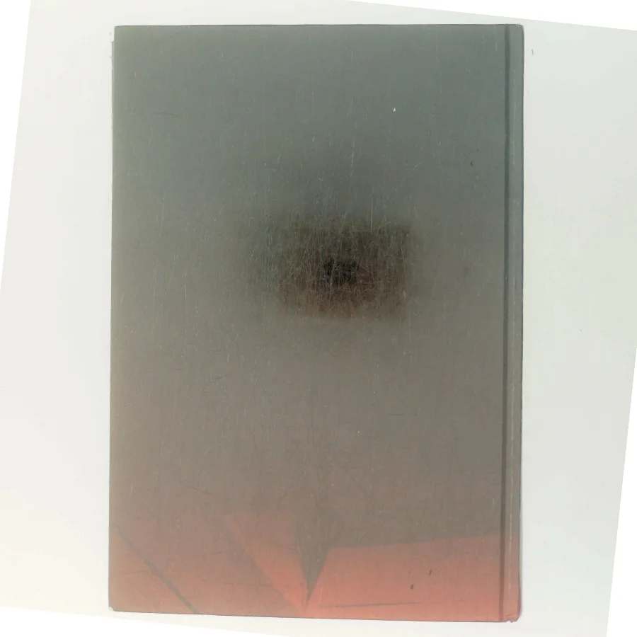 Prædikanten af Camilla Läckberg (Bog)