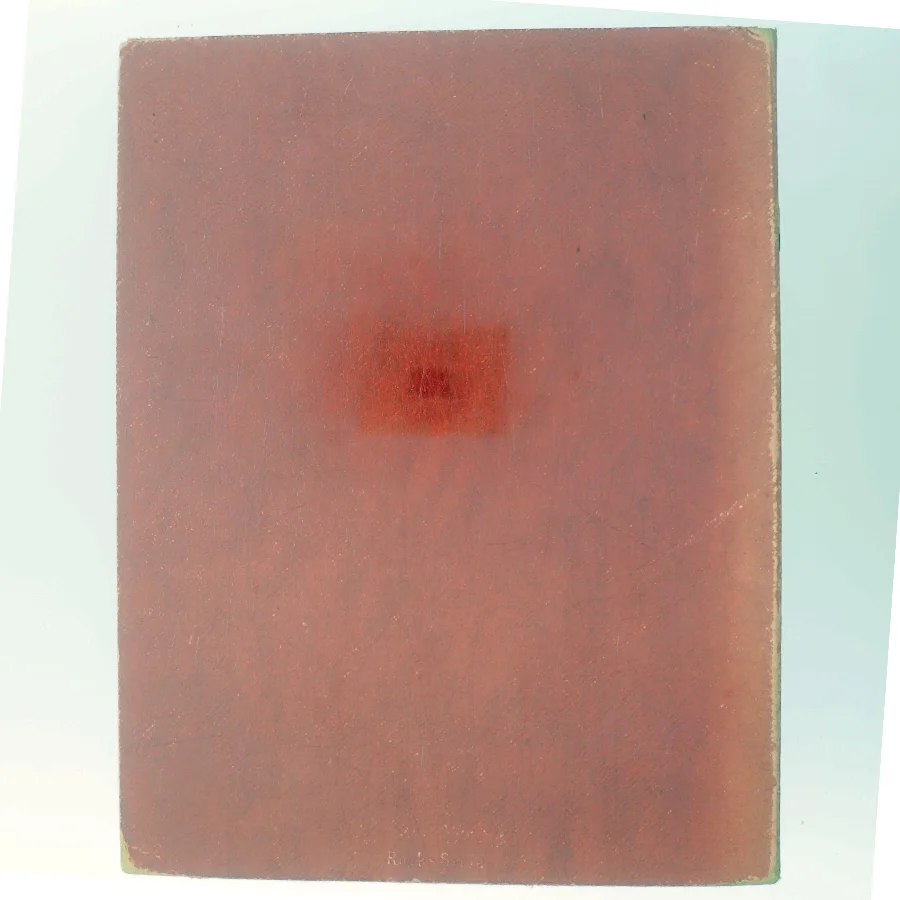 101 Views of Birmingham and District (Bog)