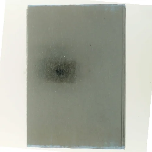 Alexandria Forbindelsen af Steve Berry (Bog)