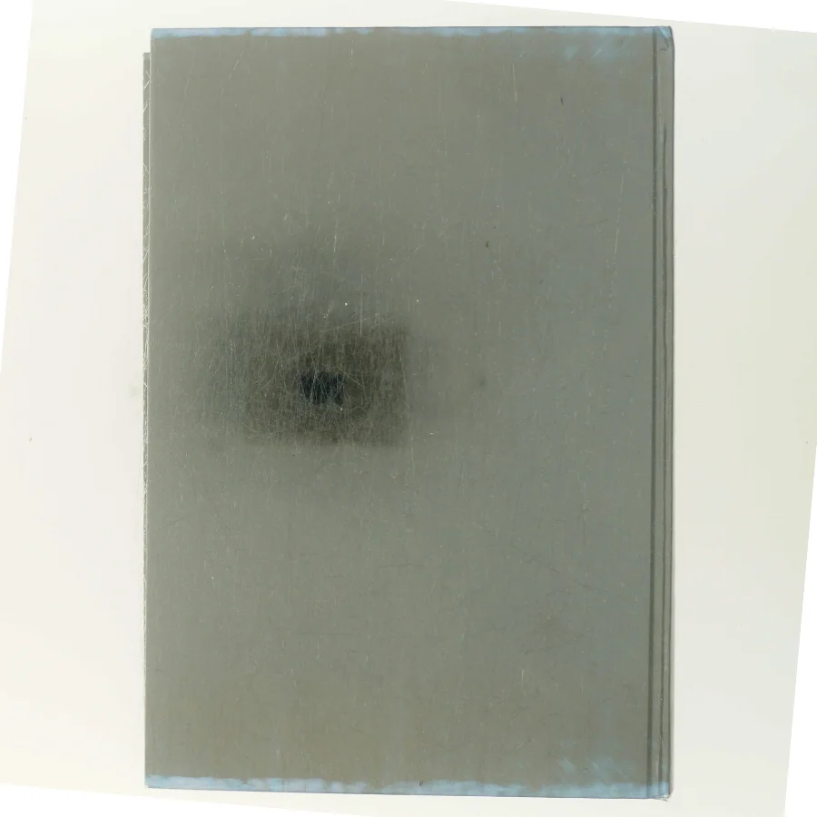 Alexandria Forbindelsen af Steve Berry (Bog)