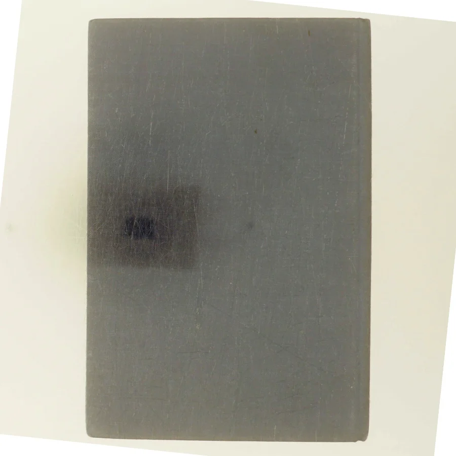 Sten i farver af Karen Callisen (Bog)