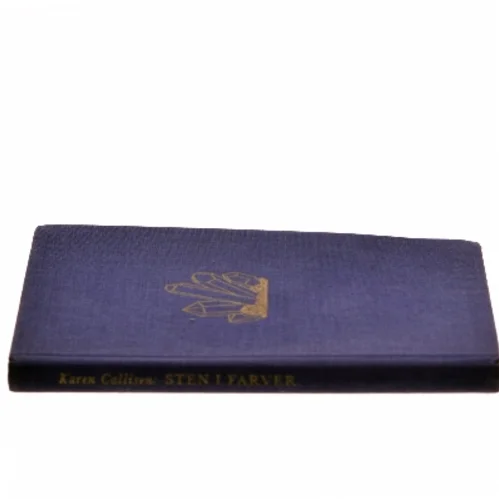 Sten i farver af Karen Callisen (Bog)