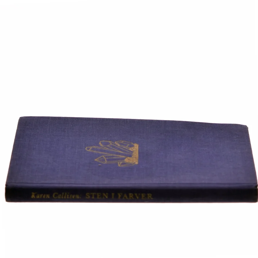 Sten i farver af Karen Callisen (Bog)