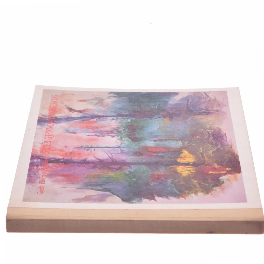 Stier Gjennom Grenseskog af Grethe Elisabeth Nordhagen (Bog)