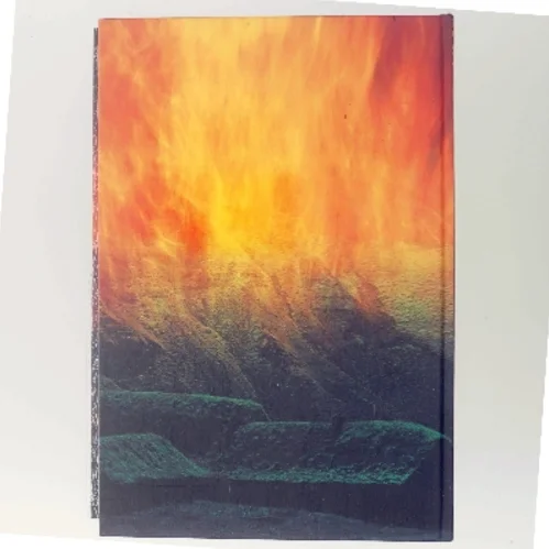 Erik den Røde af Preben Mørkbak (Bog)