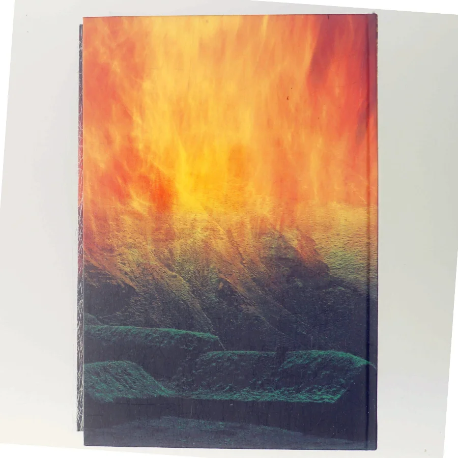 Erik den Røde af Preben Mørkbak (Bog)