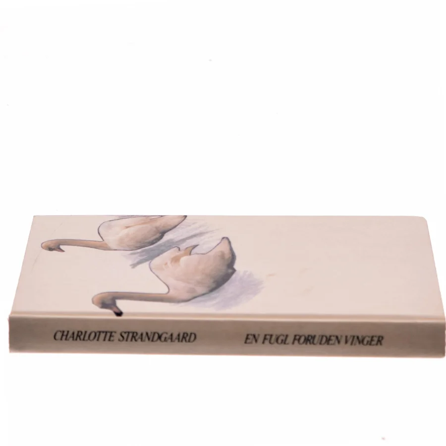 En fugl foruden vinger af Charlotte Strandgaard (Bog)