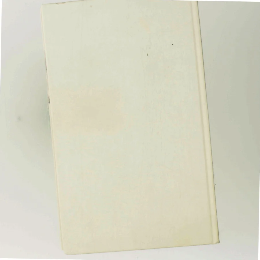 En fugl foruden vinger af Charlotte Strandgaard (Bog)