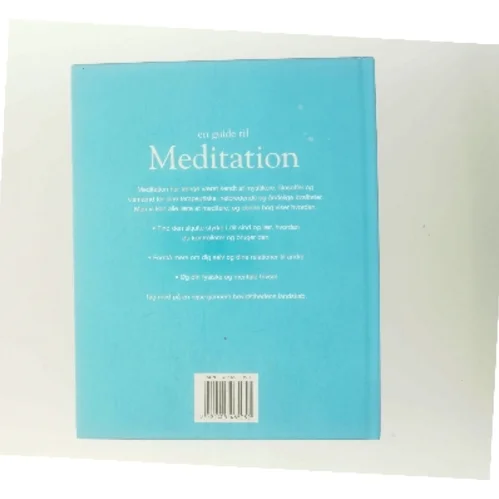 En guide til meditation af Lorraine Turner (Bog)