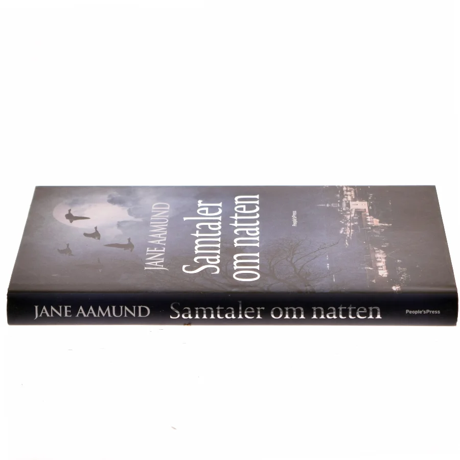 Samtaler om natten af Jane Aamund (Bog)