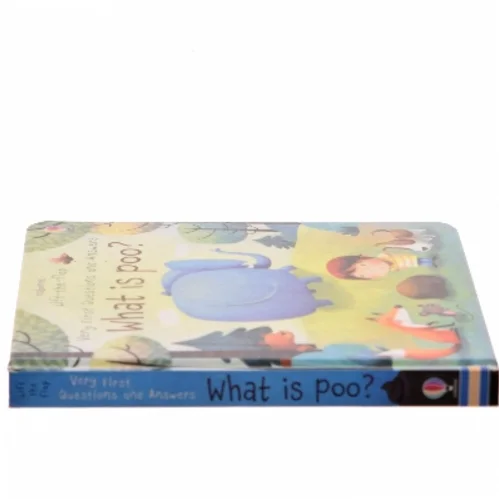 Very First Lift-The-flap Questions and Answers What Is Poo? af Katie Daynes (Bog)