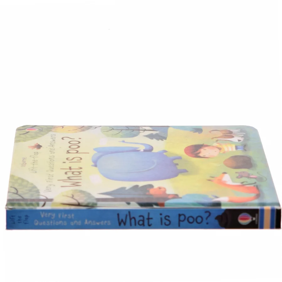 Very First Lift-The-flap Questions and Answers What Is Poo? af Katie Daynes (Bog)
