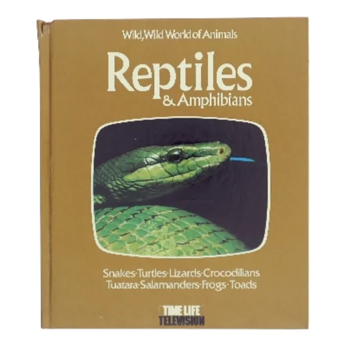 Reptiles & Amphibians (Bog)