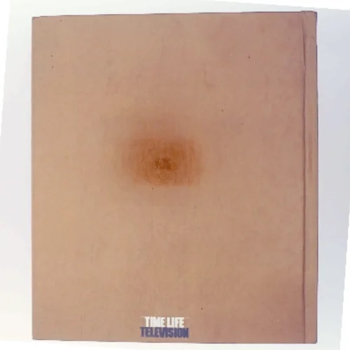 Reptiles & Amphibians (Bog)