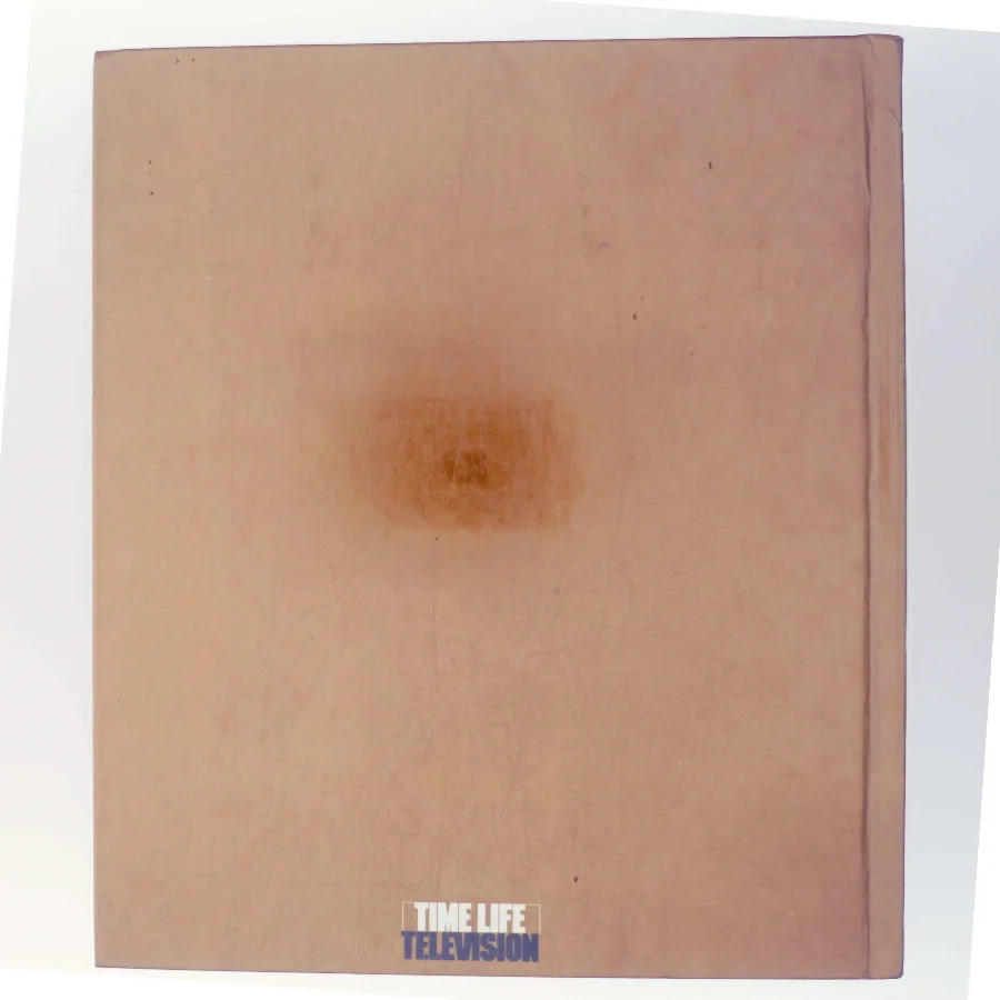 Reptiles & Amphibians (Bog)