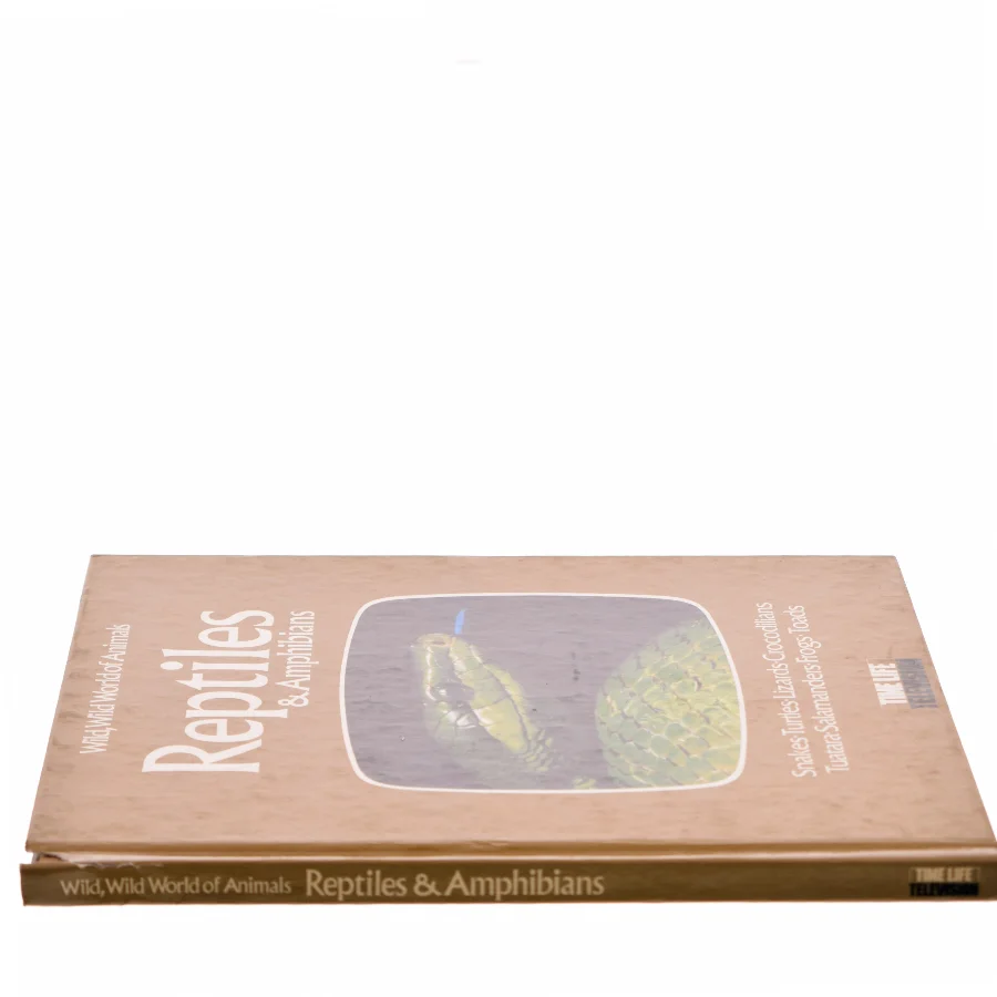 Reptiles & Amphibians (Bog)