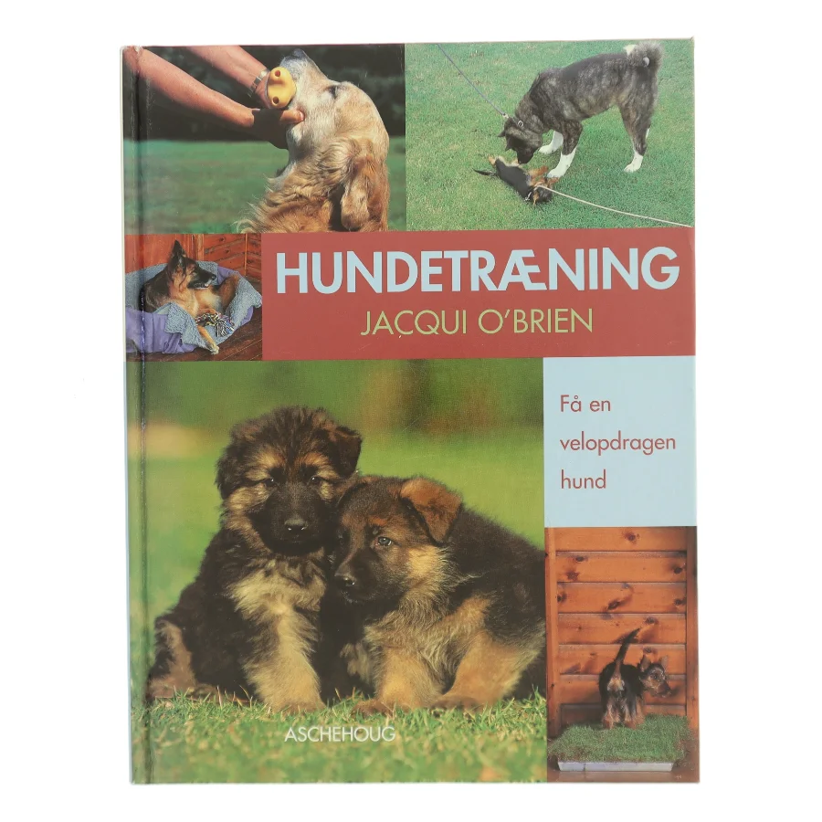 Hundetræning : få en velopdragen hund af Jacqui O'Brien (Bog)