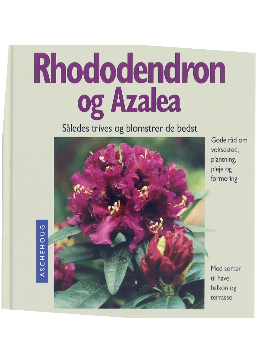 Forsiden af Rhododendron og azalea : sådan trives og blomstrer de bedst : ekspertråd om voksesteder, plantning, pleje og formering : med sorter til have, altan og terrasse af Andrea Kögel