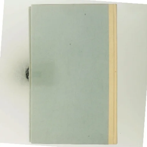 Lille Jonna af Kirsten Thorup (Bog)